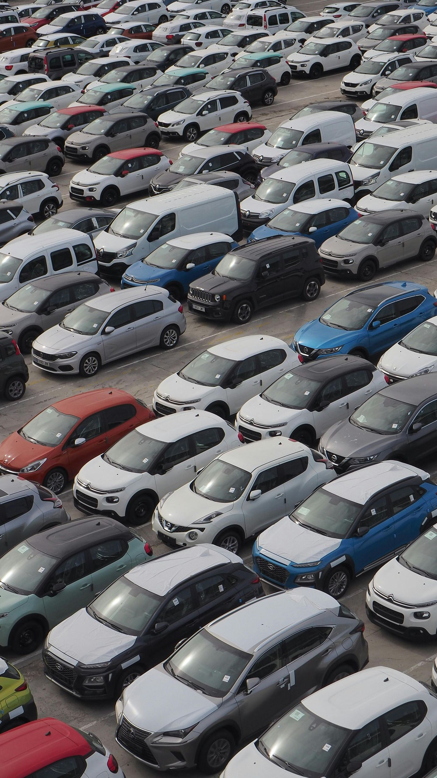 Large lot filled with rows of new cars, mostly white and various colors, parked closely together.
