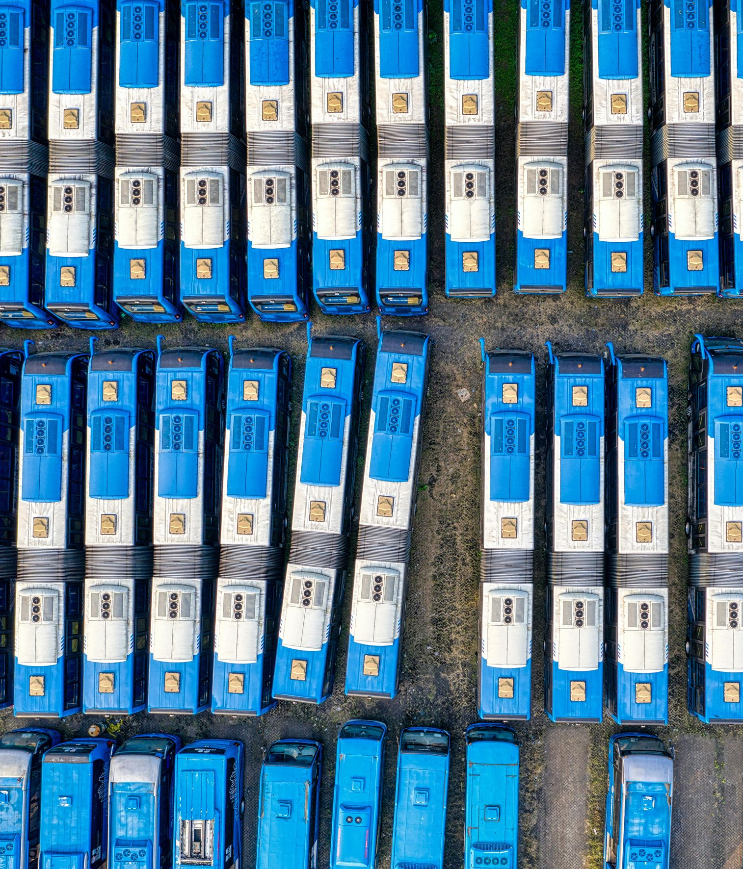 Overhead view of many blue and white buses parked in neat rows.