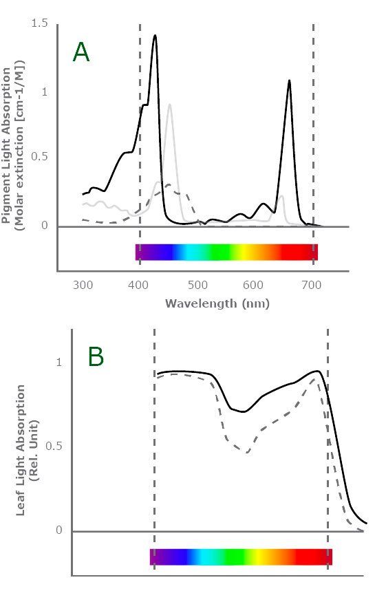 spectrum-chart Full-Spectrum Lights