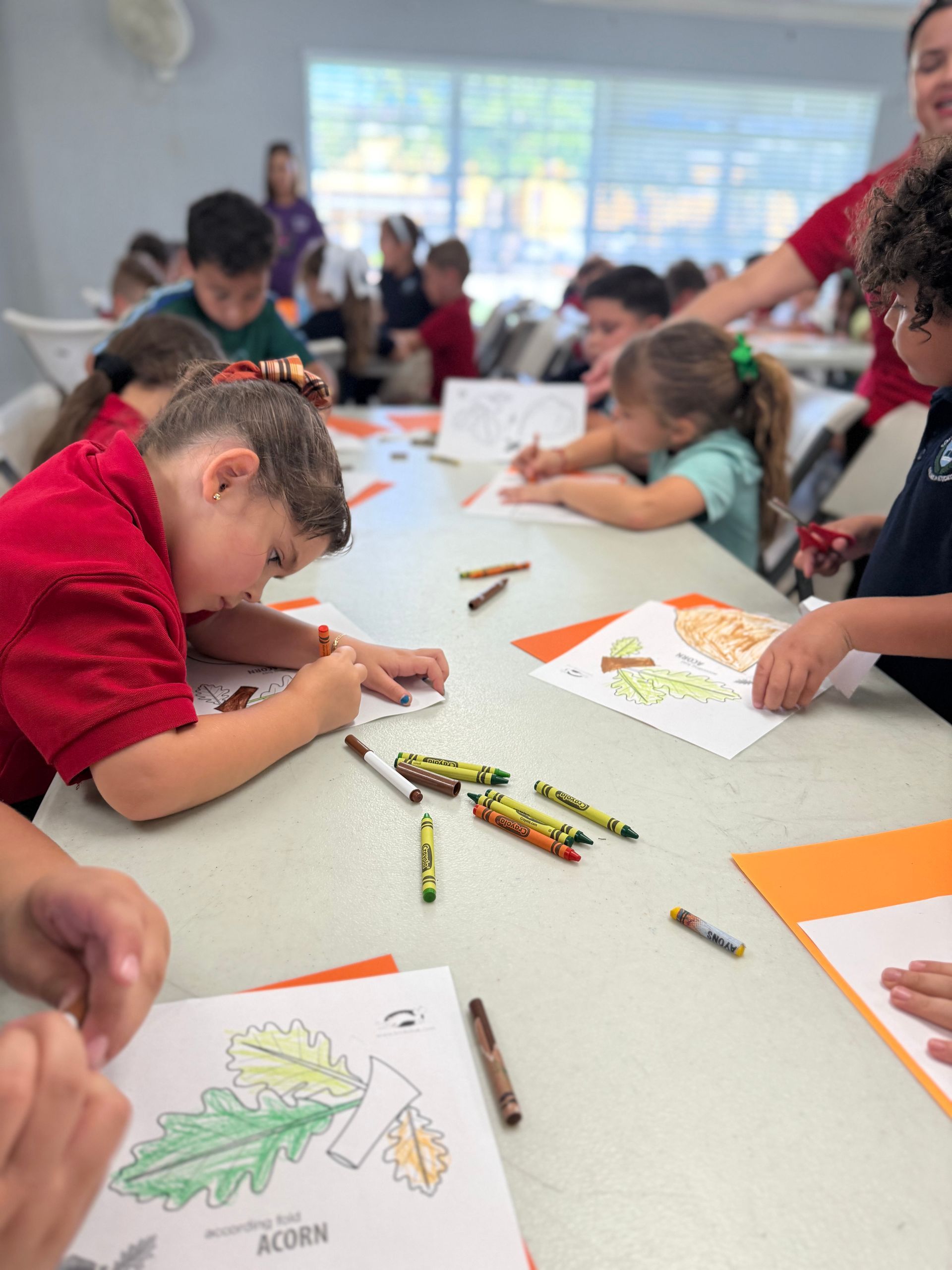 Children coloring at a table with crayons and drawings. A teacher is present. Indoors, sunny setting.