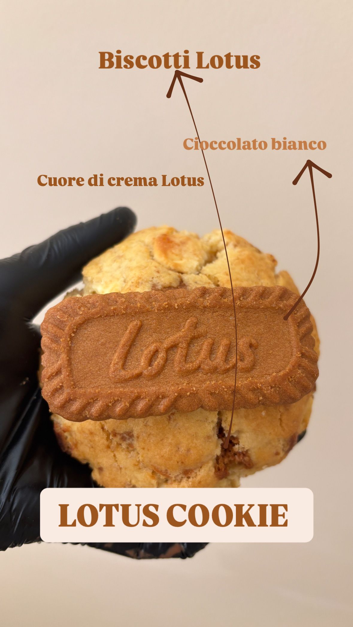 Torta di laurea con la lettera "G" e frutta e cioccolato.