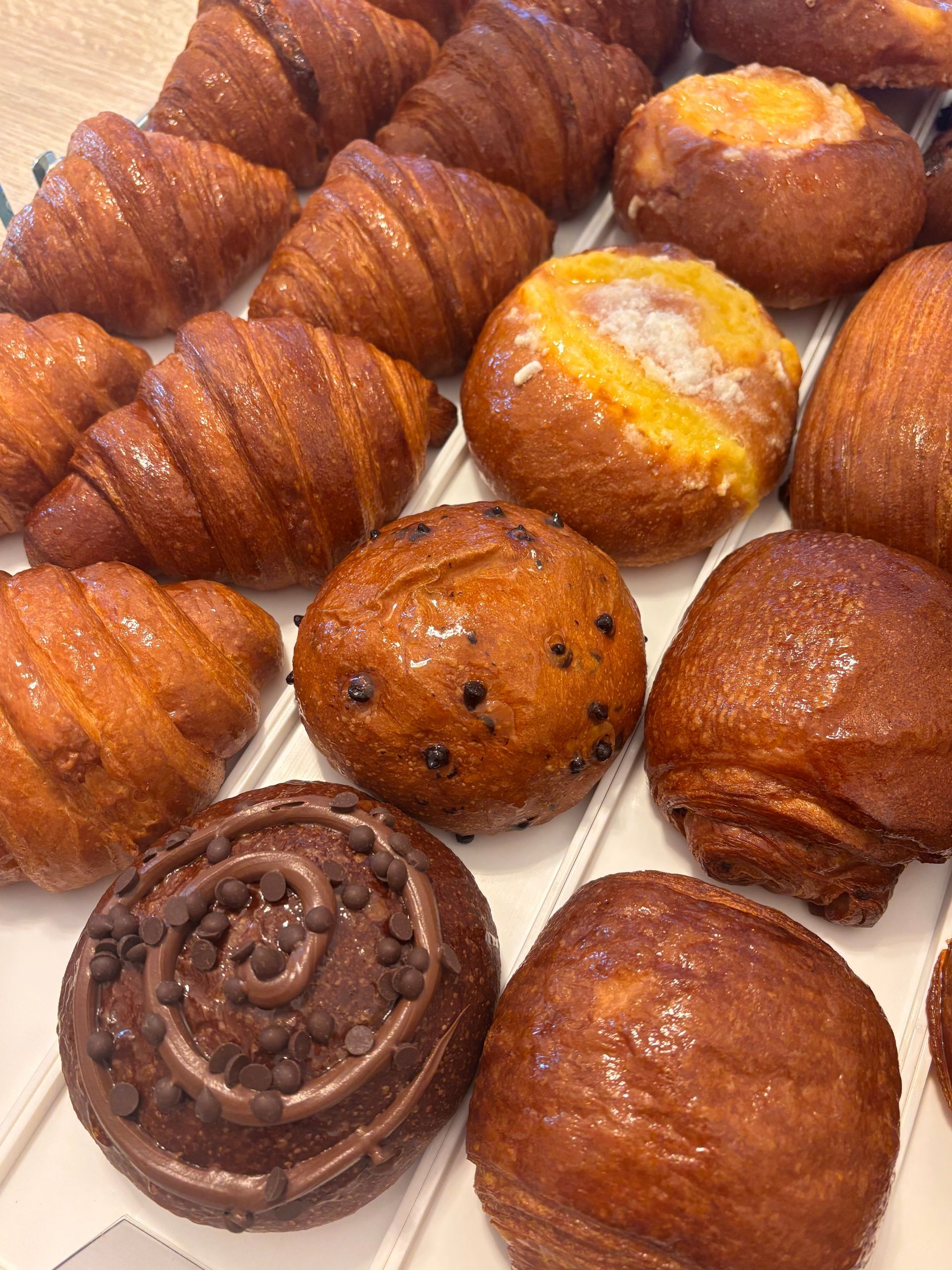 File di dessert al cioccolato gourmet con lati strutturati, superfici chiare e dettagli dorati.