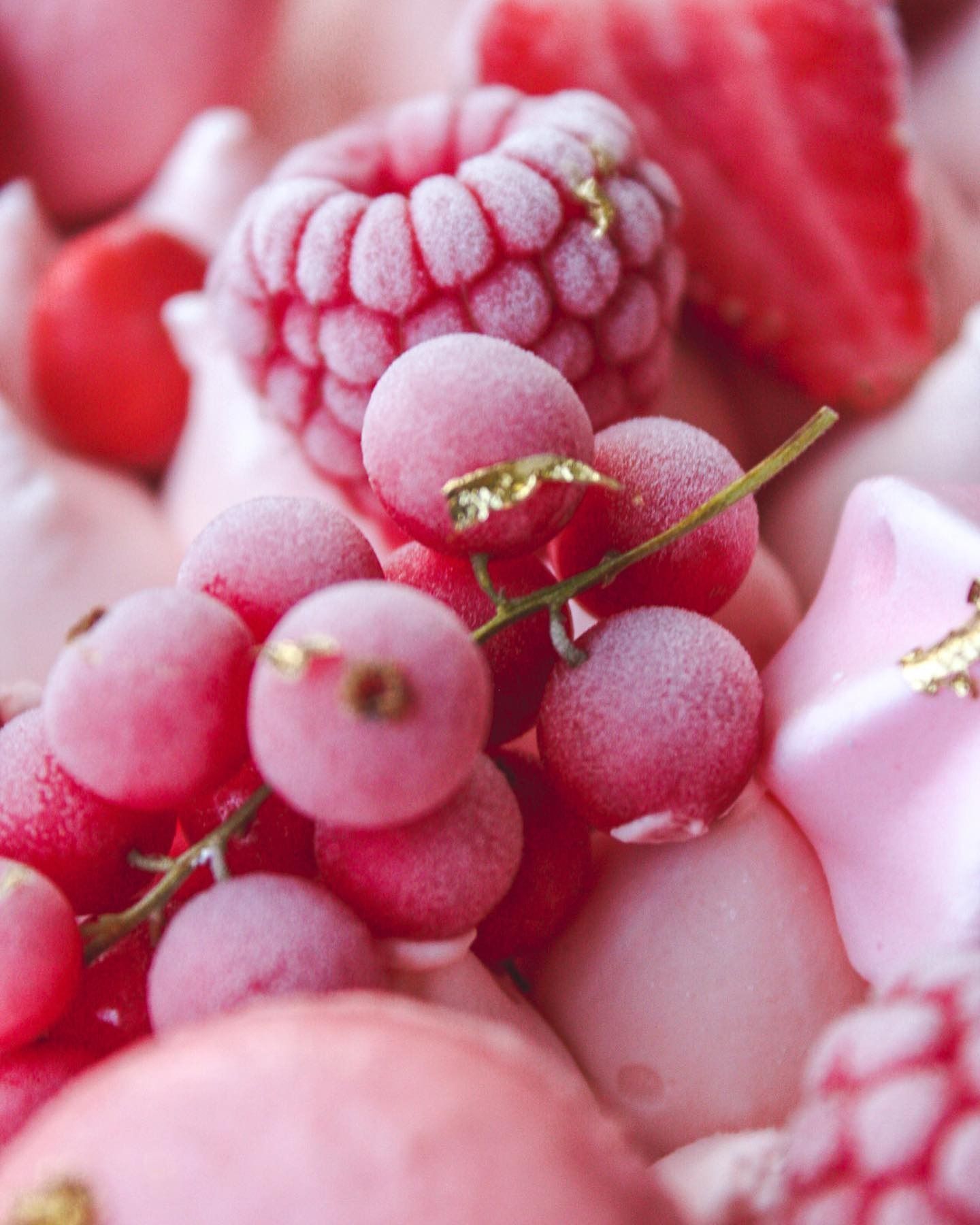 Primo piano di bacche rosa, tra cui lamponi, fragole e ribes, su un letto di meringa rosa.