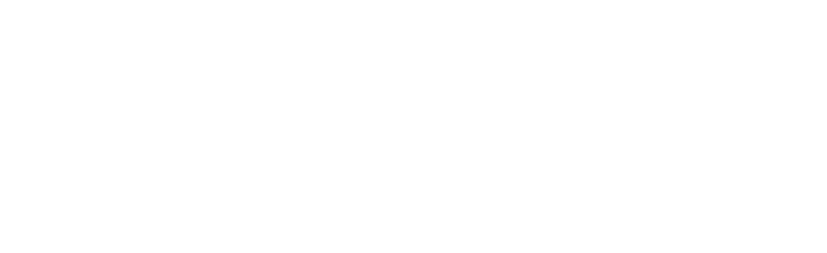 Light Logo