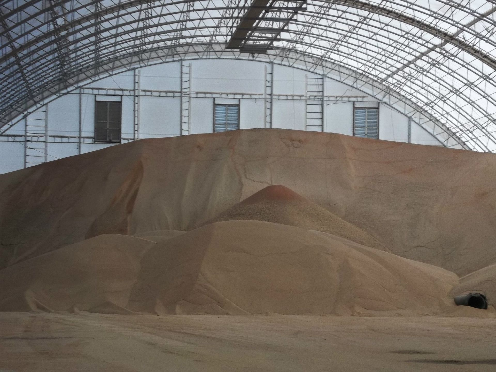 Large pile of tan grain inside a metal-arched warehouse. Windows are visible near the top.