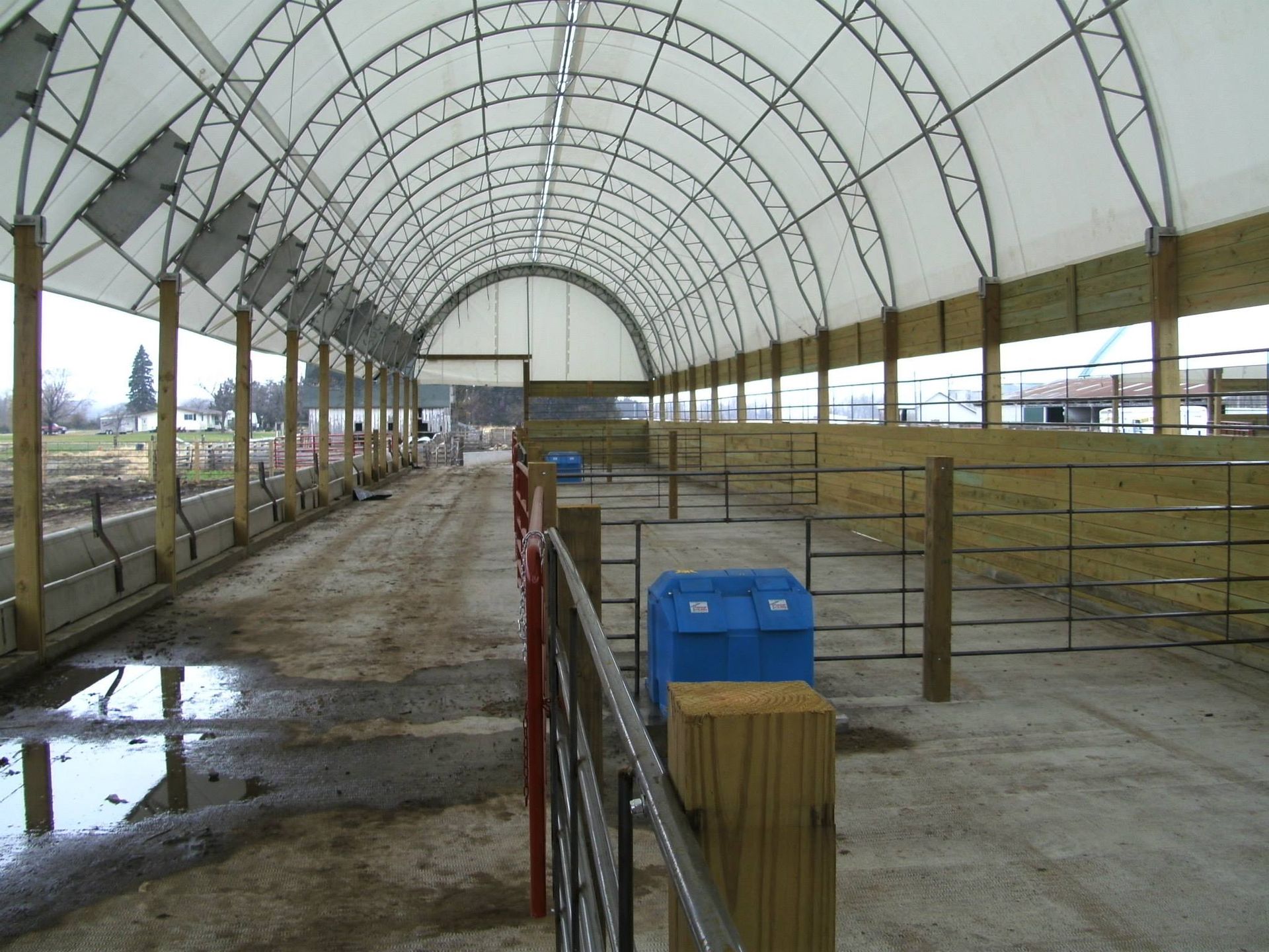 Inside a covered barn, stalls defined by fences and posts, blue bin, muddy floor.
