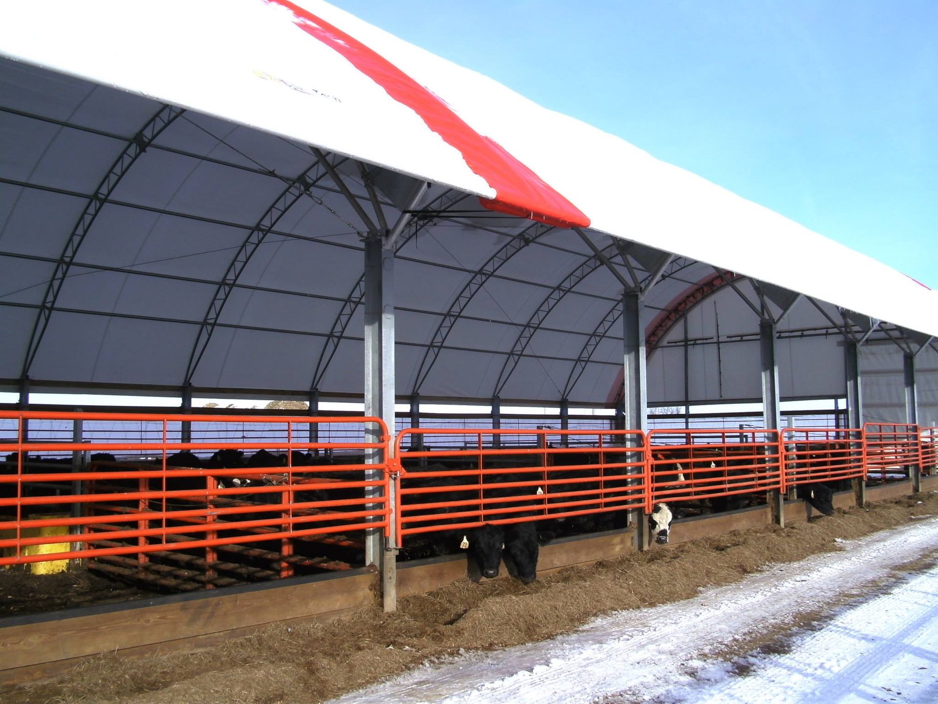 Cattle shelter with red railings, arched roof, and snow on the ground.