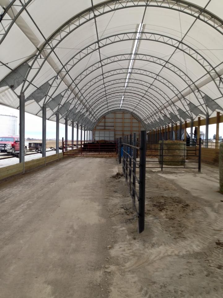 Inside a white-roofed barn with a dirt floor, metal supports, and a metal fence.