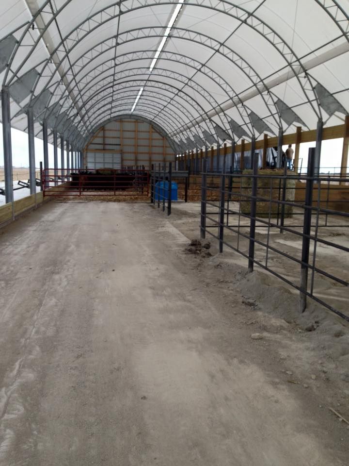Interior of a large agricultural building with arched roof. Fences and dirt floor are visible.
