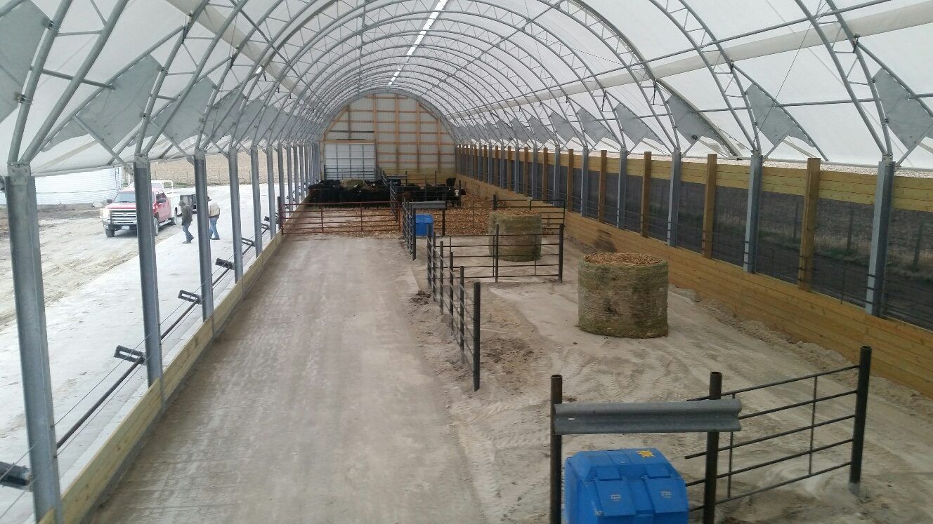 Large indoor livestock shelter with arched roof and dirt floor; hay bales and fencing visible.