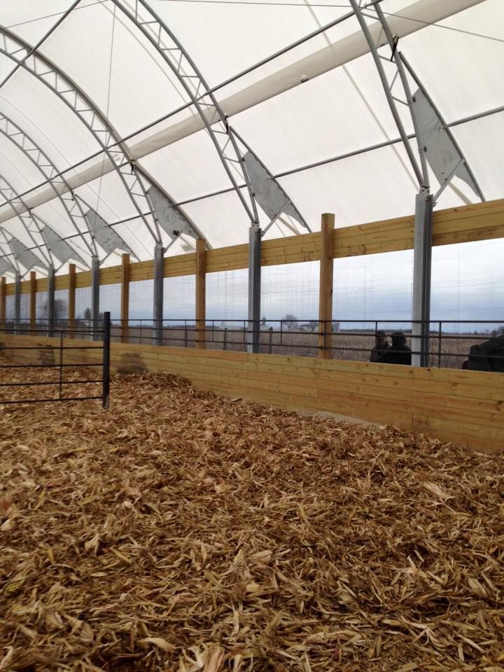 Interior of a large covered structure with wooden beams and a dirt floor covered in organic matter.