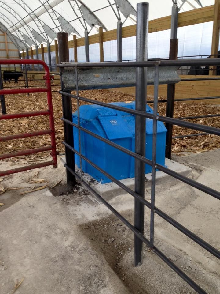 Blue livestock water tank within a metal pen, inside a barn.