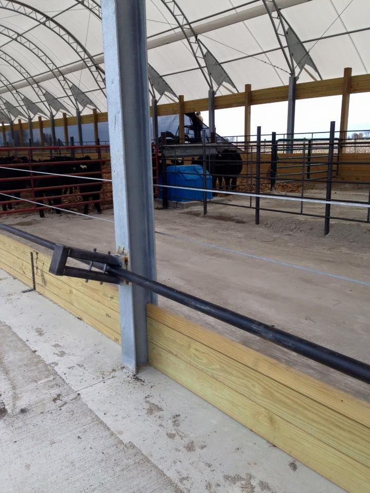 Inside a livestock facility, a metal beam and wood fencing with cattle in background.