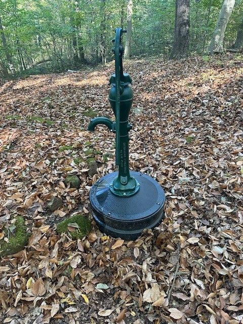 A green water pump is sitting on top of a pile of leaves in the woods.
