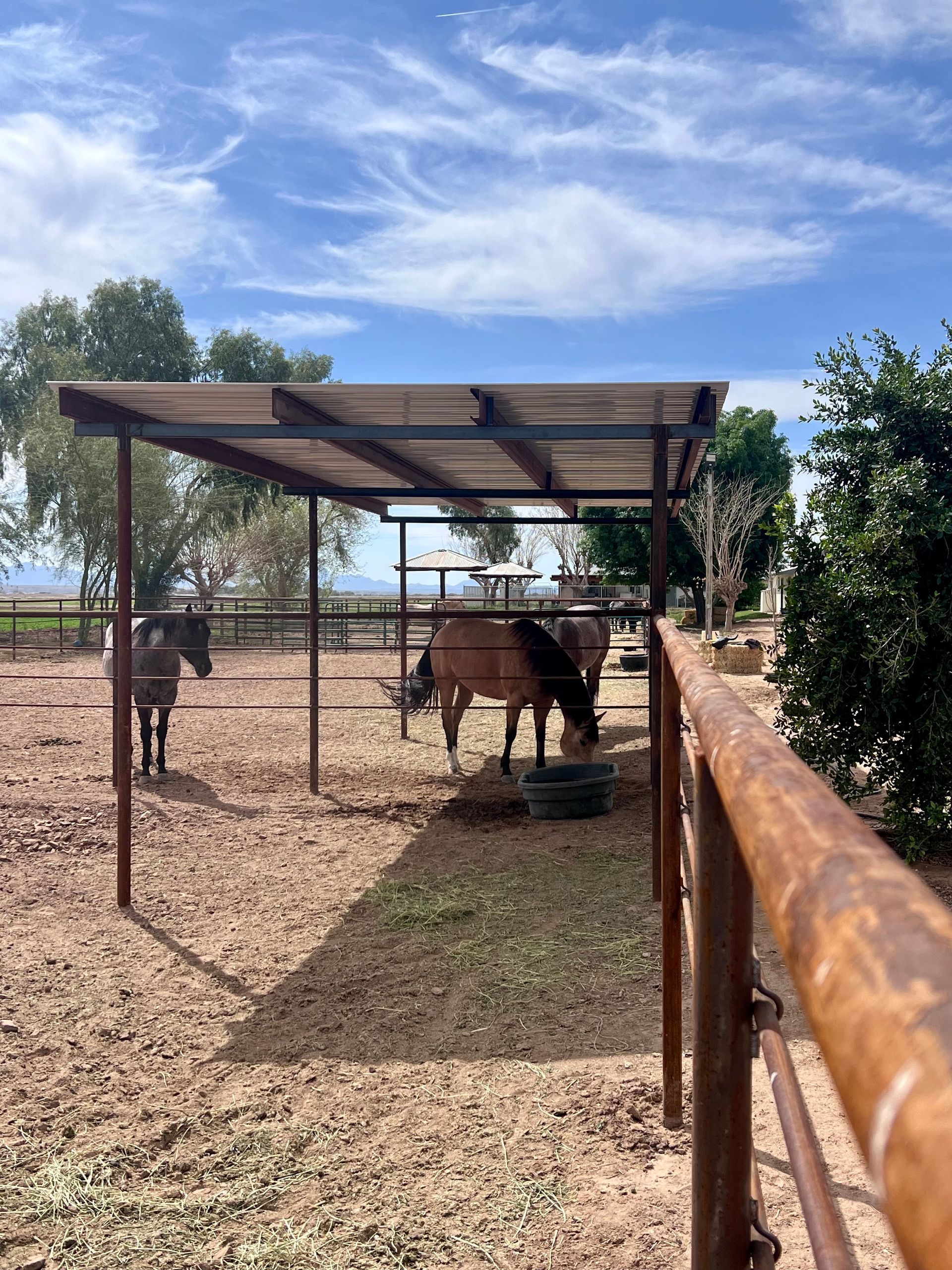 Two horses are standing under a wooden shelter in a dirt field.
