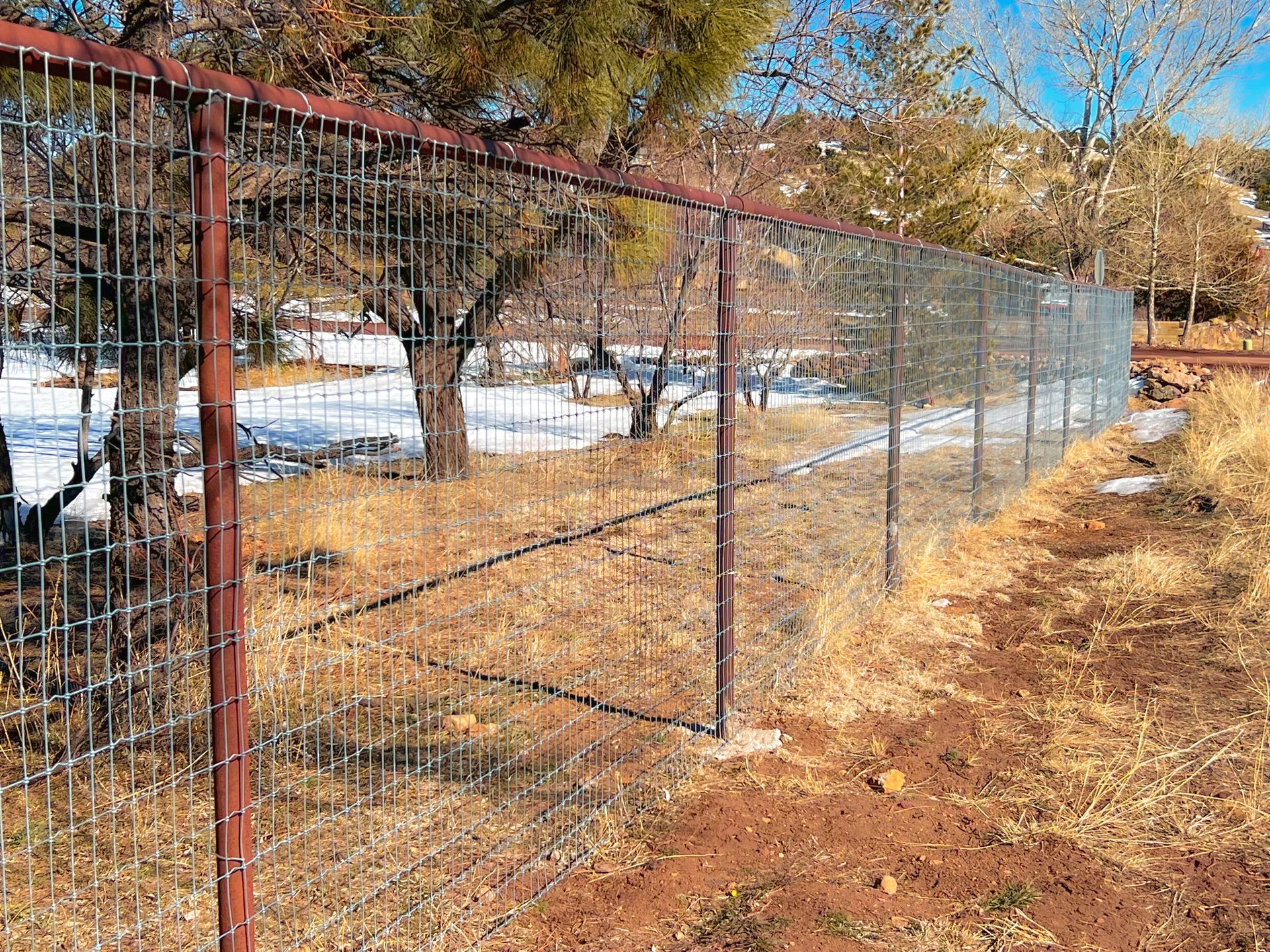 A wire fence is surrounding a field with trees in the background.