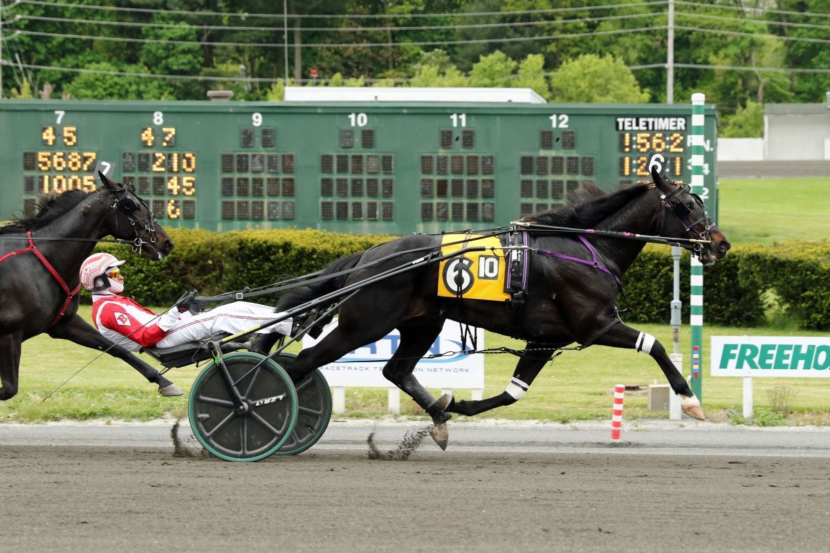 SIR PINOCCHIO WIRES FIELD IN DEXTER CUP AT FREEHOLD