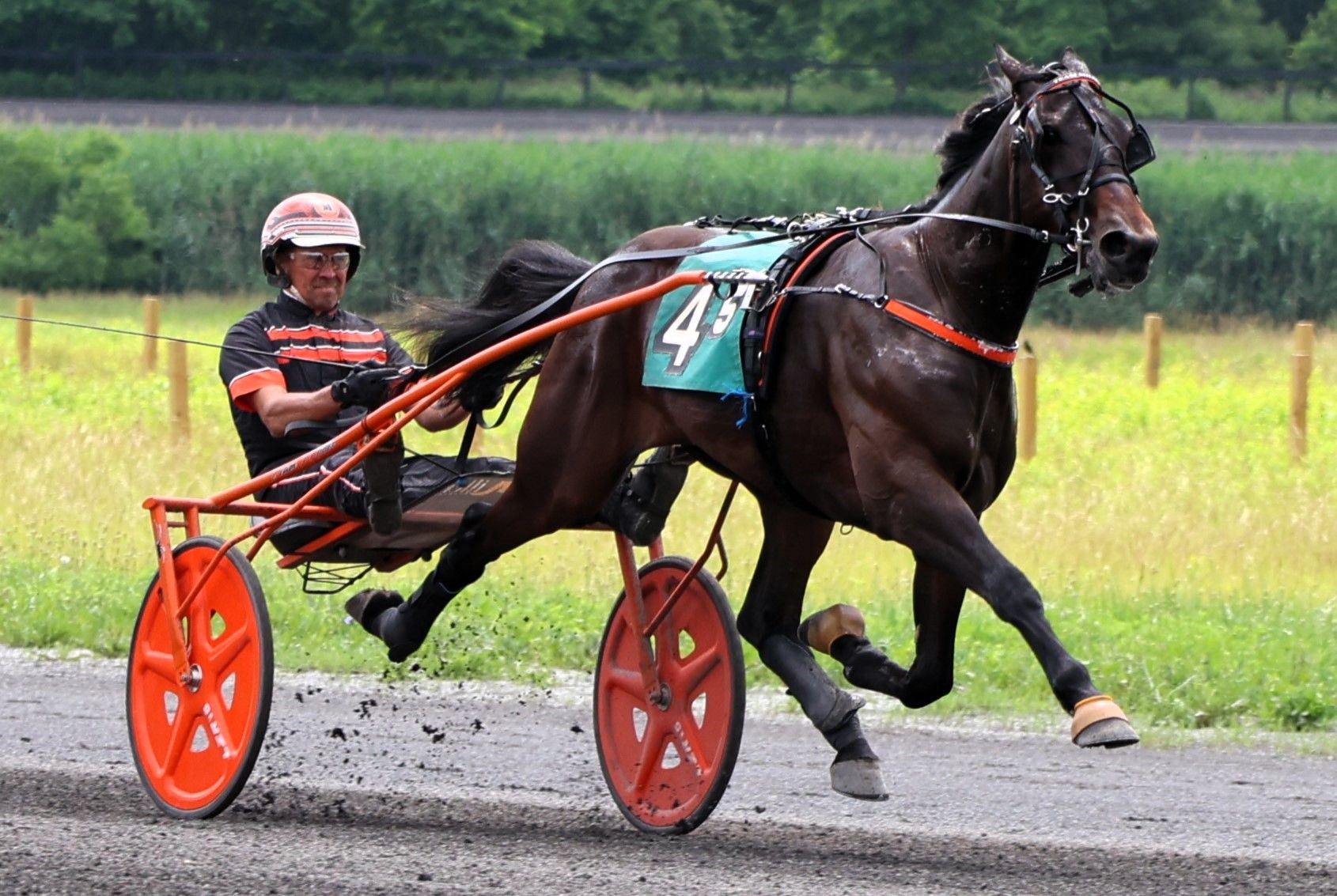 UGOTTABKIDNME STEPS OUT IN STYLE AT GAITWAY QUALIFIERS