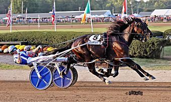 LATE RALLY LIFTS IT'S MY SHOW TO LITTLE BROWN JUG VICTORY