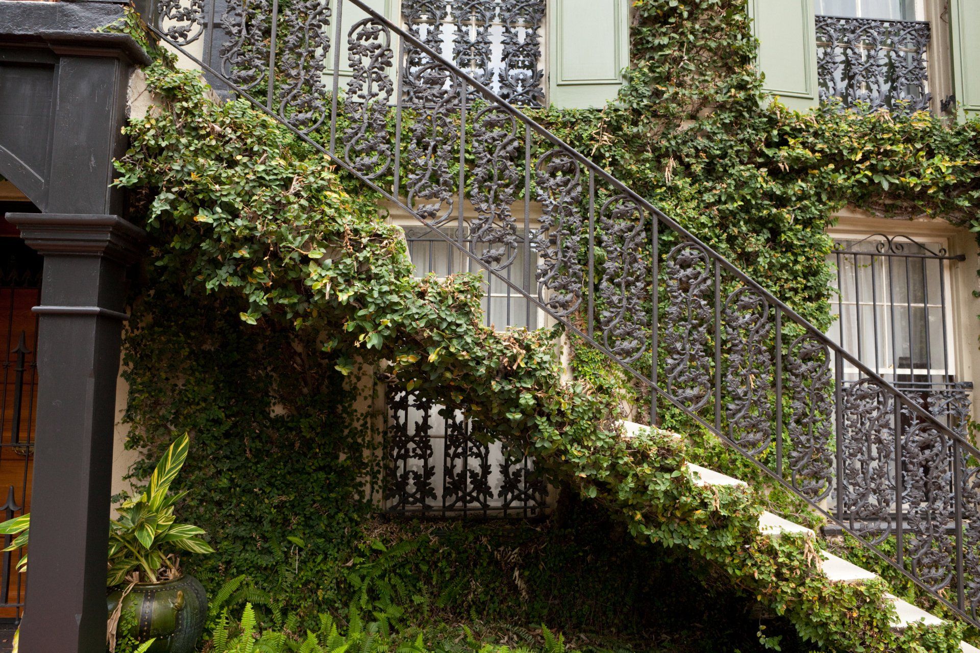 Ornamental metal stair railings outdoors with vines growing