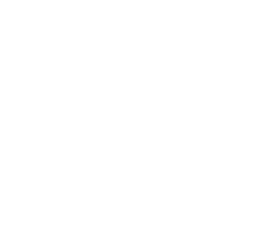CrossFit Port Credit' Logo
