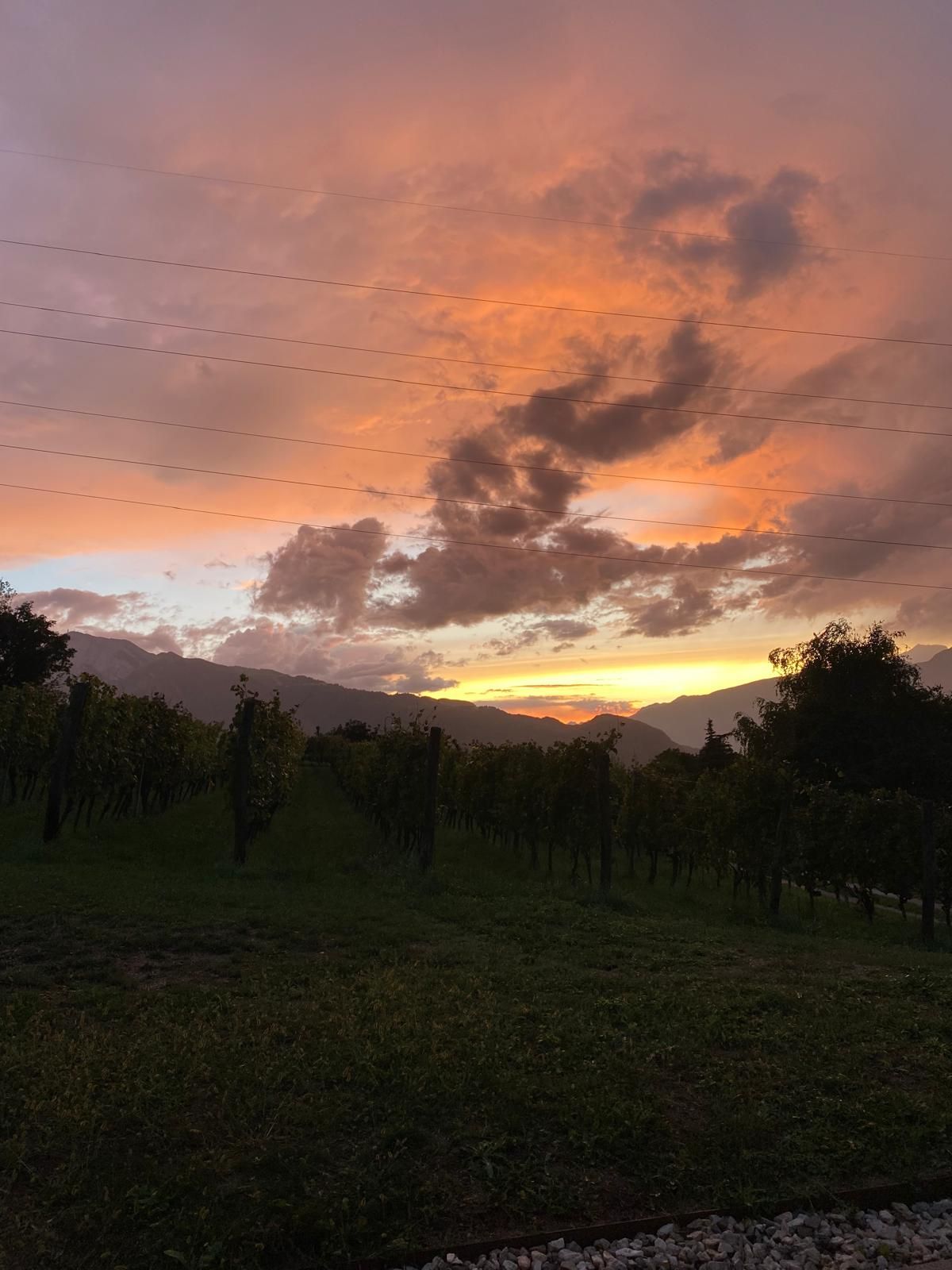 Tramonto su un prato e sugli alberi, con nuvole rosa-arancio sopra le colline in lontananza.
