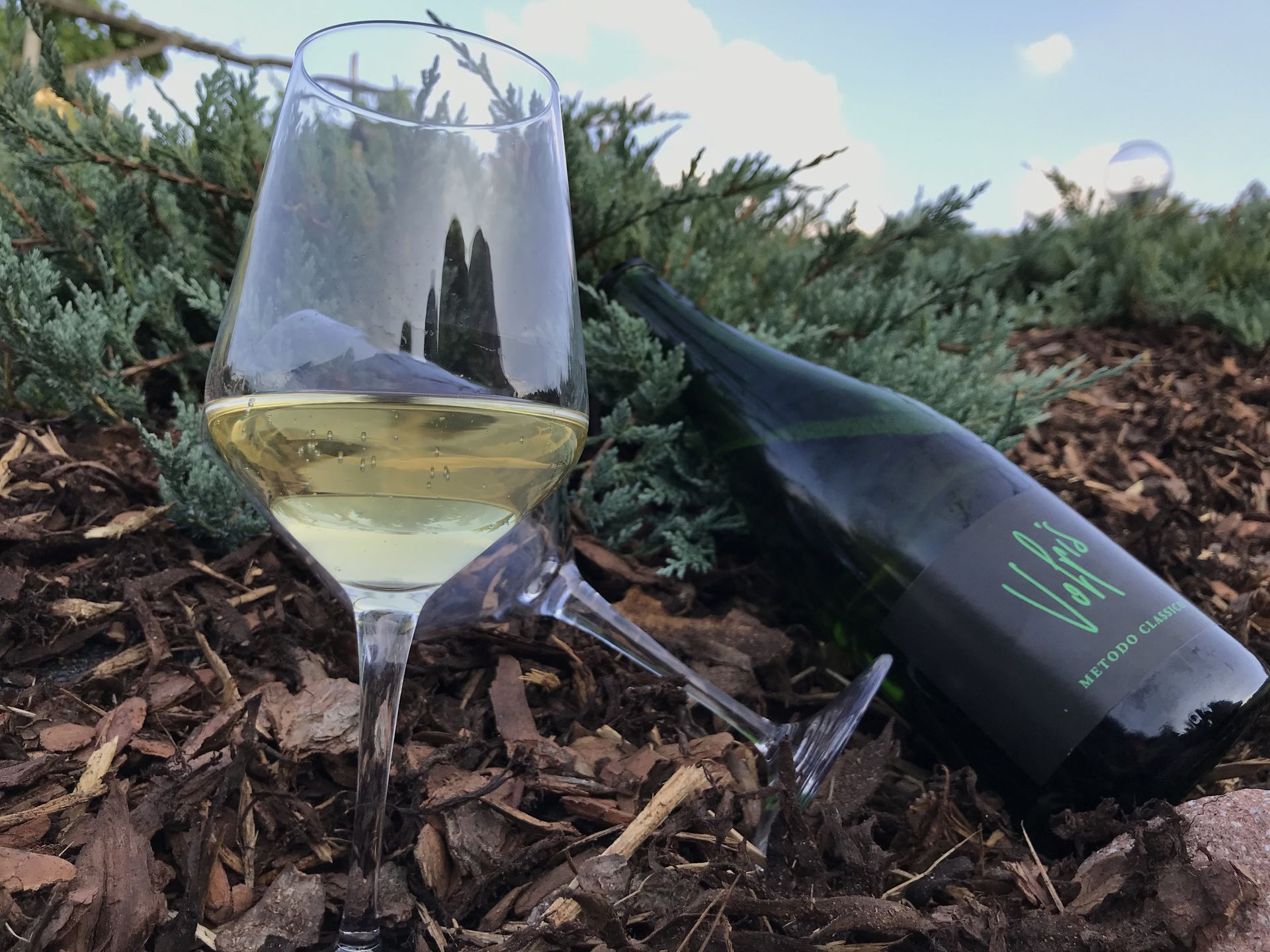 Un calice e una bottiglia di vino appoggiati su pacciame di corteccia all'aperto, con del verde sullo sfondo.