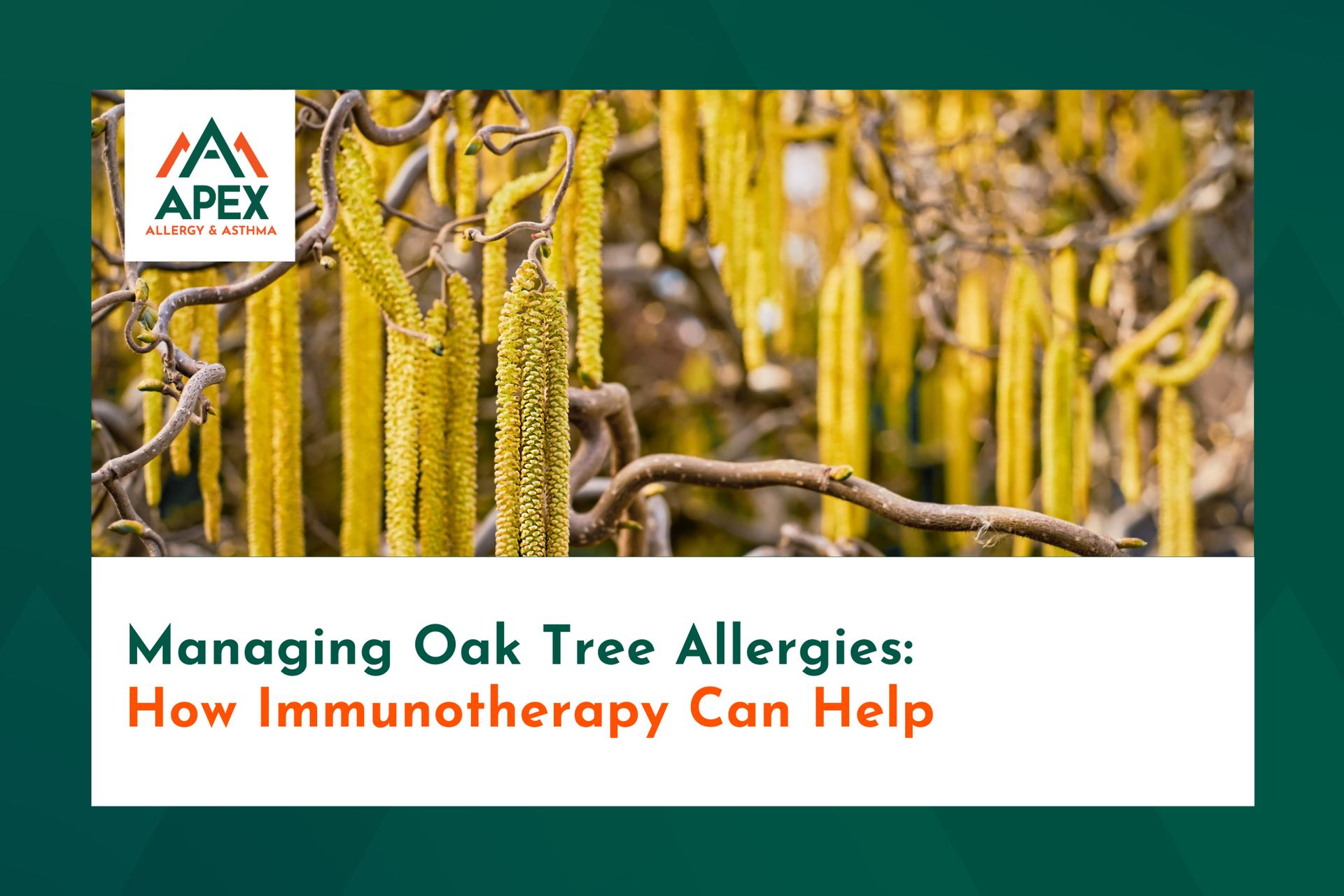 Oak trees produce catkins, which are petal-less flowers that release oak pollen.