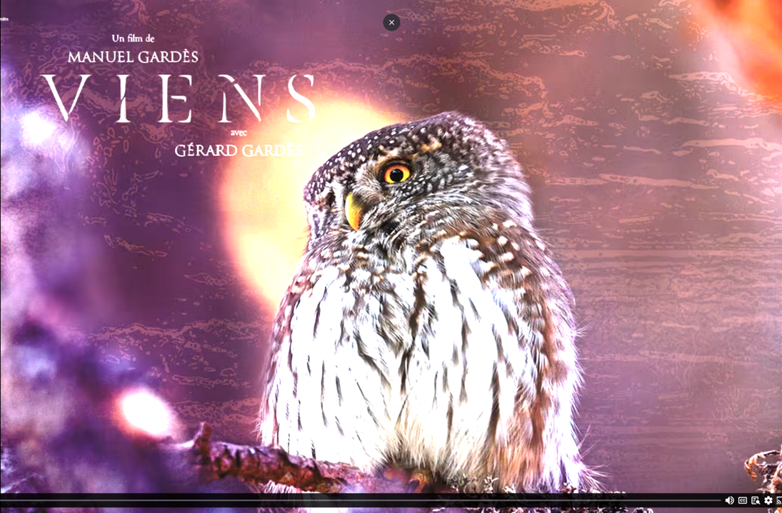 Documentaire VIENS de Manuel Gardès