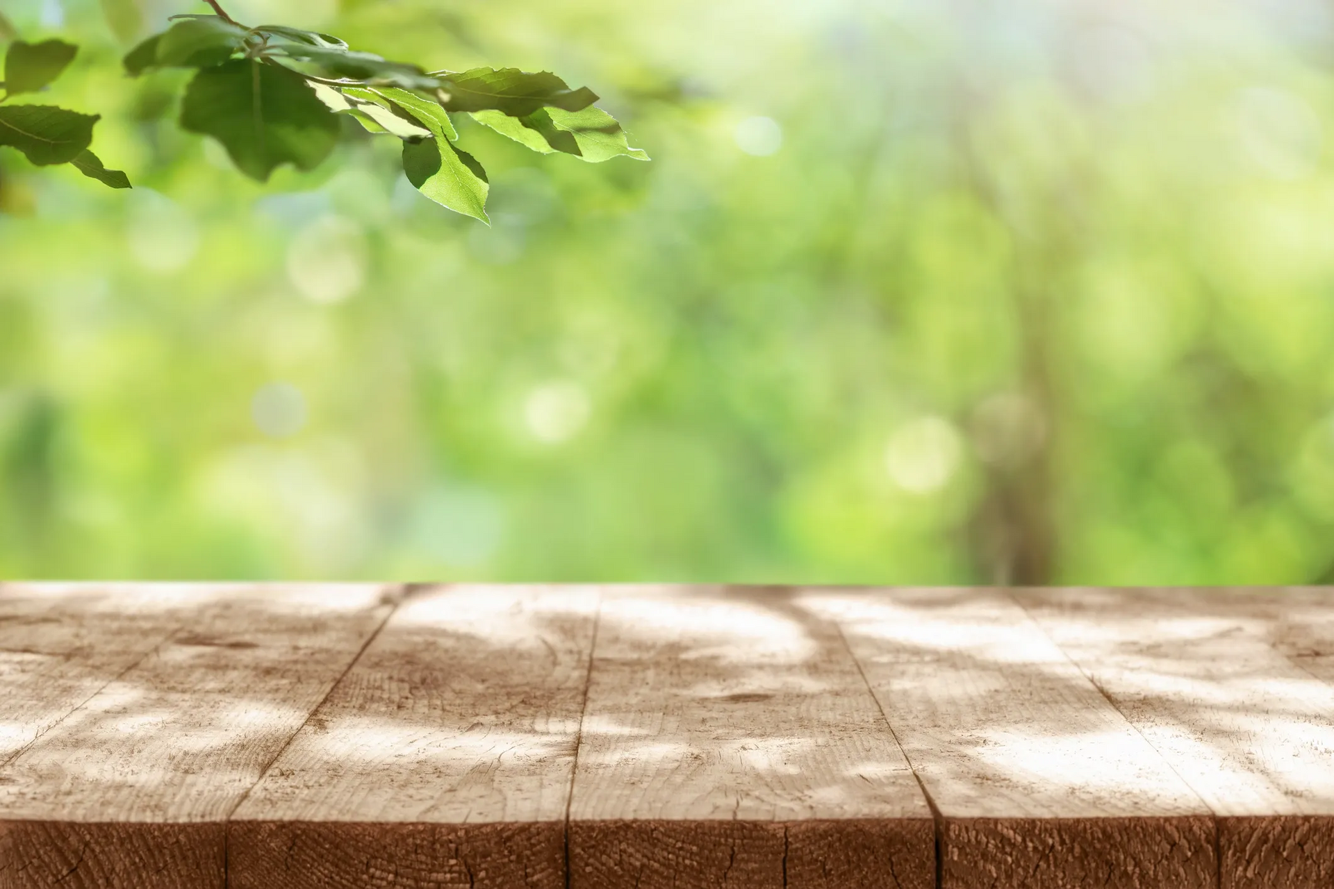 Wooden table in front of a blurry, sun-dappled green forest background with leaves. — AT My Place Counselling and Psychotherapy in Mosman, NSW