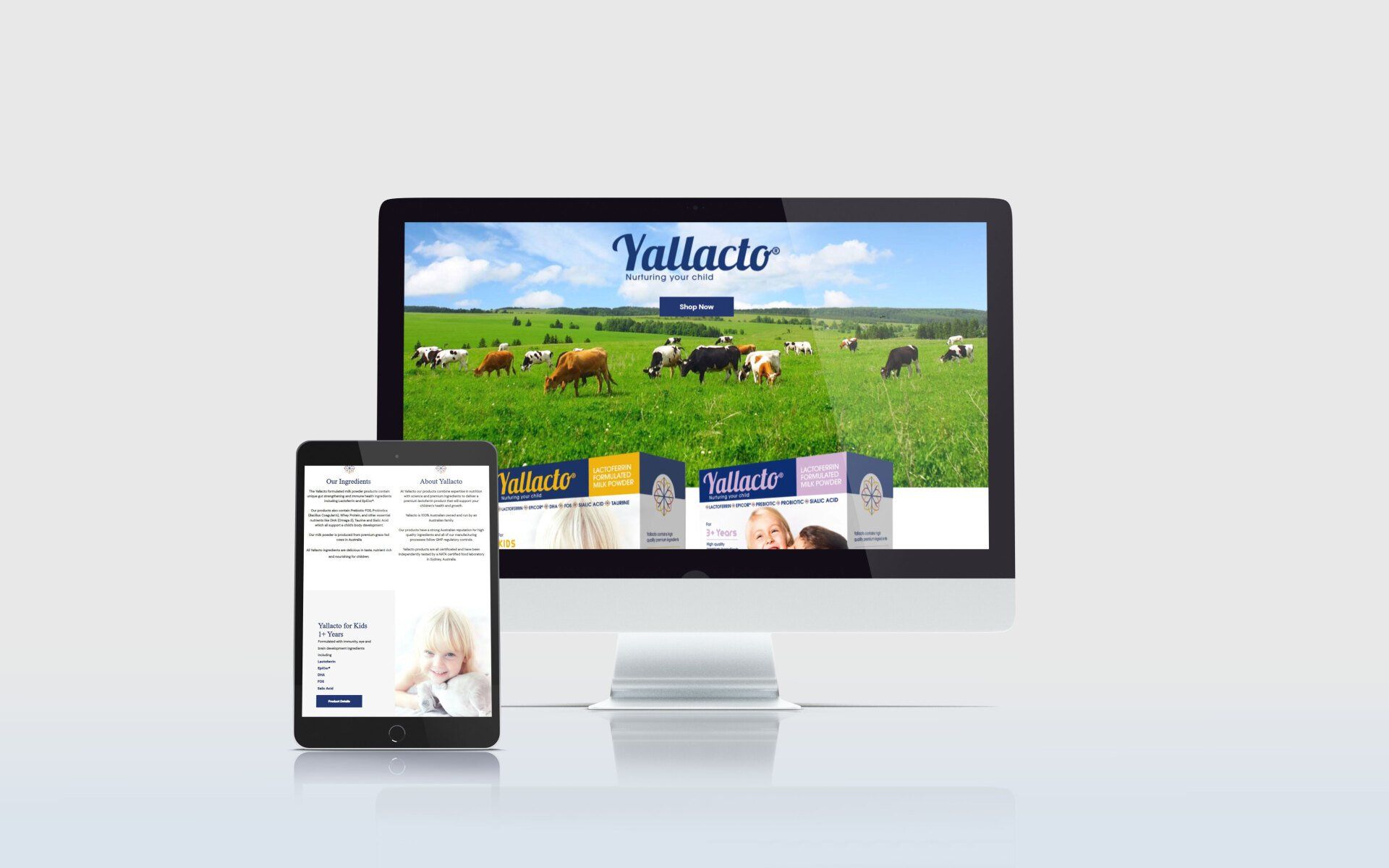 Yallacto Website Image