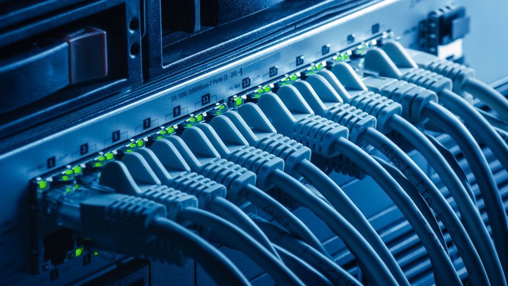 Network Server With Numerous Ethernet Cables Plugged In — Shane Kelly Communications in Northern Rivers, NSW