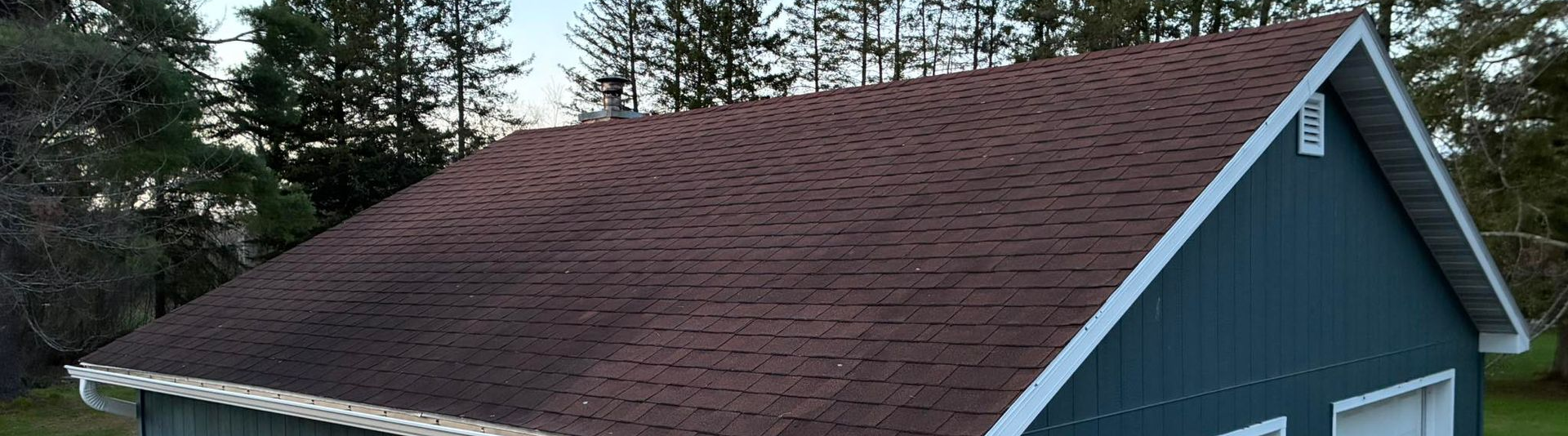 The danger of moss and Lichen