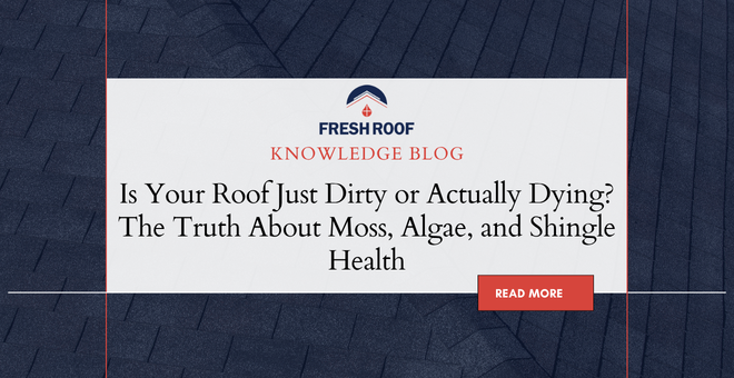 How do I fix my dirty roof 