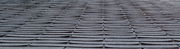 Can You Save Curling Shingles? | Fresh Roof Restoration