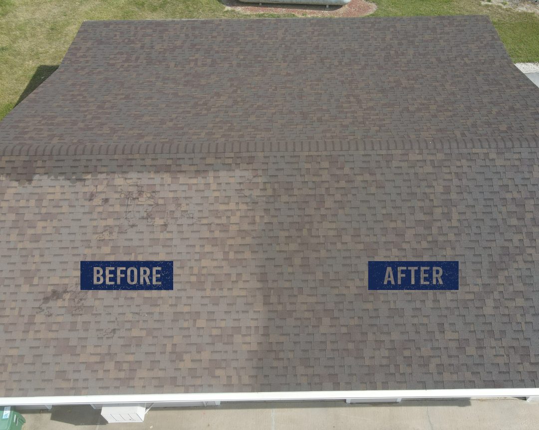 Roof Rejuvenation with Fresh Roof 