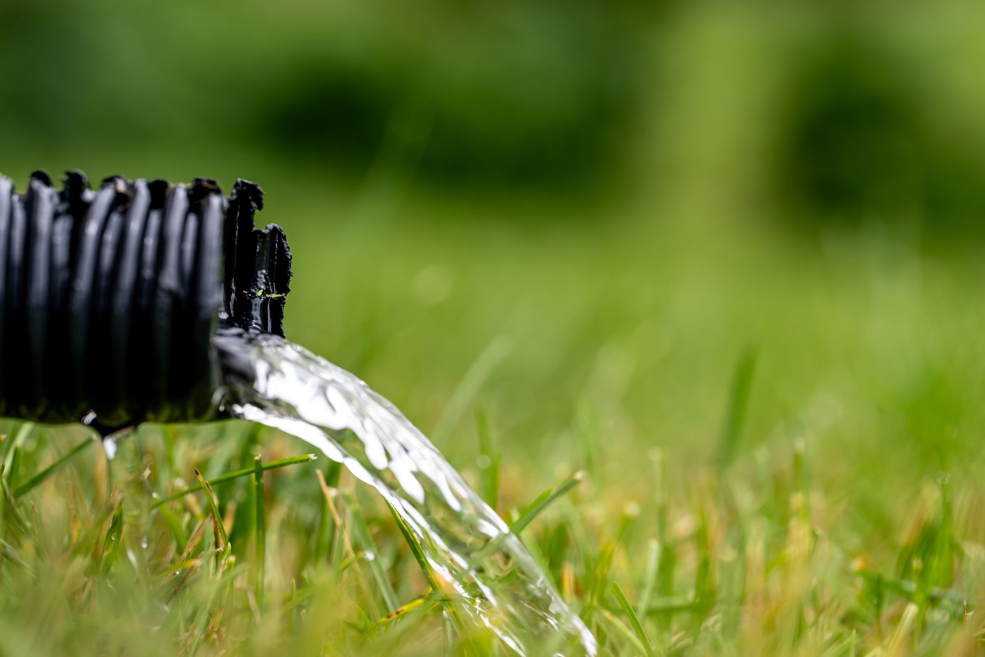 Black corrugated pipe spews water onto green grass in a yard.
