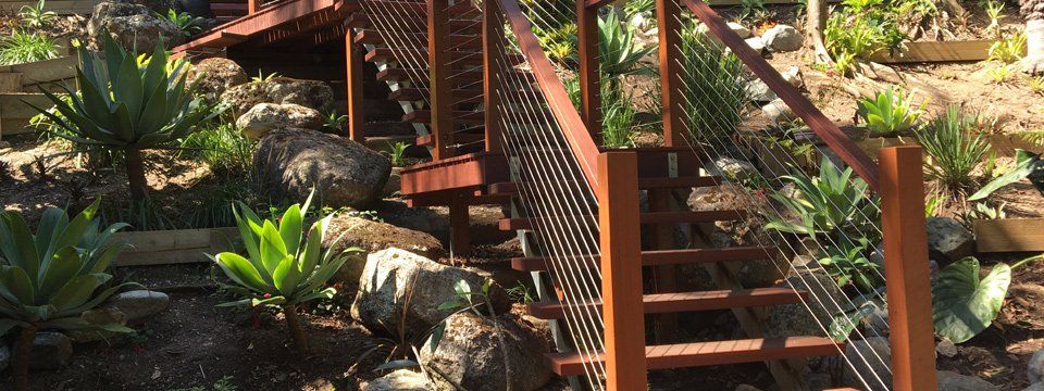wooden stairs surrounded by plants