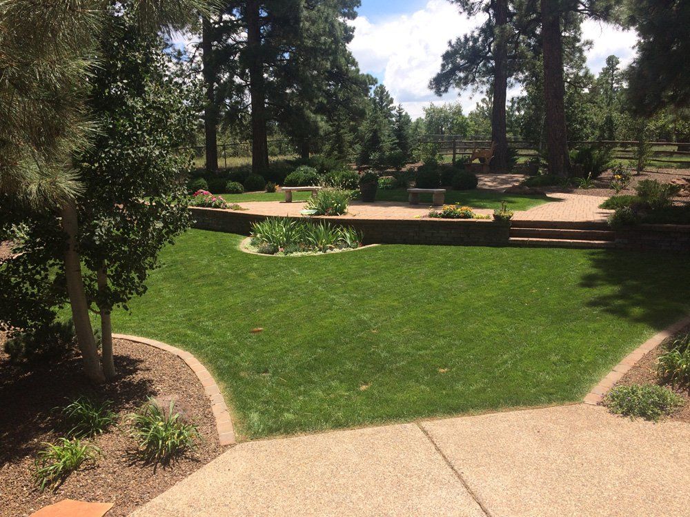 Professional Landscape Architect — Plain Grass Landscape in Flagstaff, AZ
