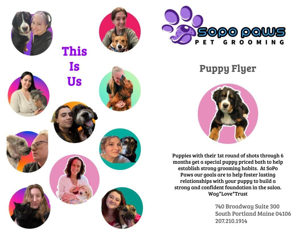 A puppy flyer for sooo paws pet grooming