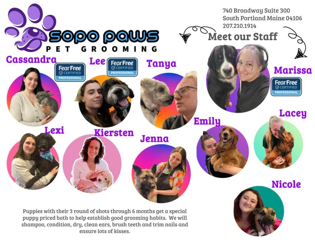 A puppy flyer for sooo paws pet grooming