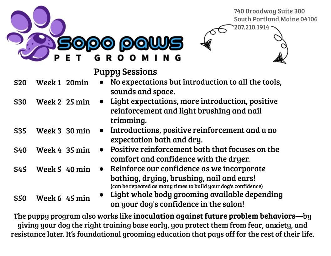 A pamphlet with a picture of a dog and a qr code.