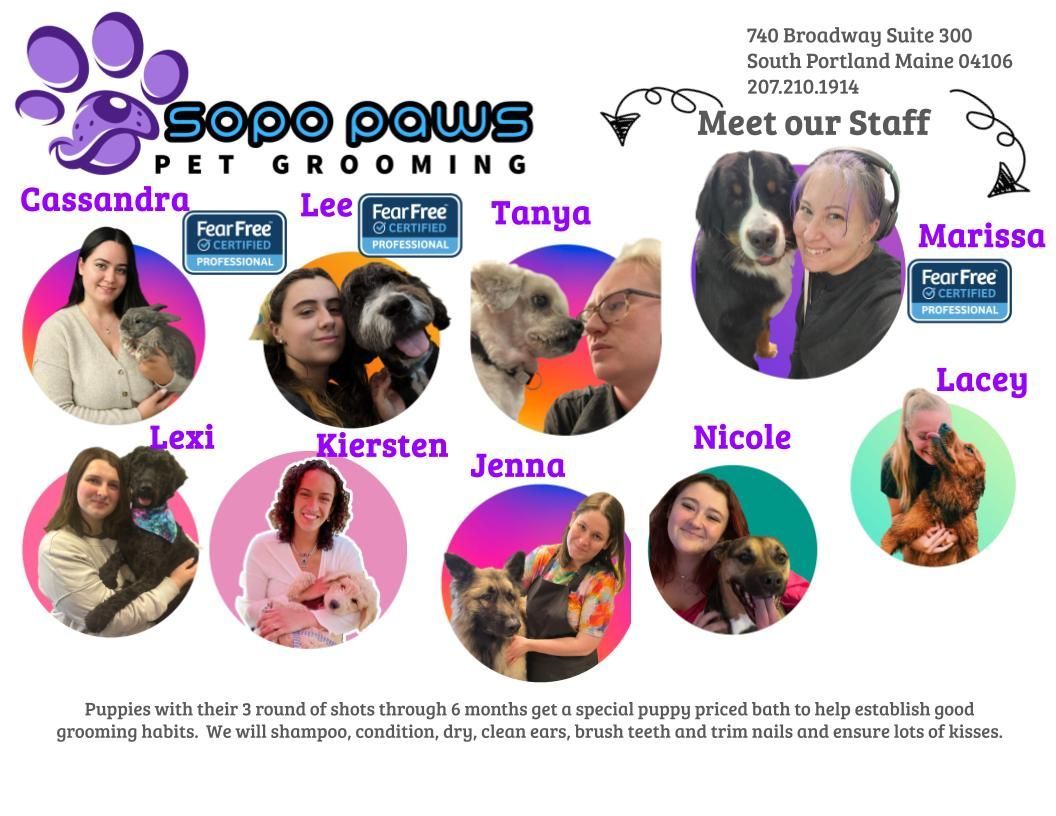 A puppy flyer for sooo paws pet grooming