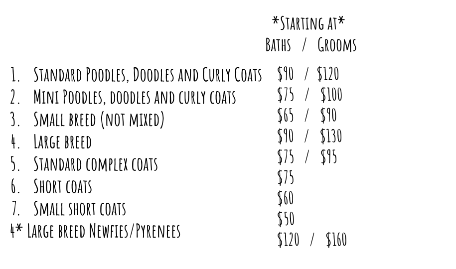 A starting price list for a dog grooming service