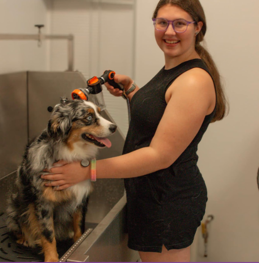 A woman is washing a dog with a hose