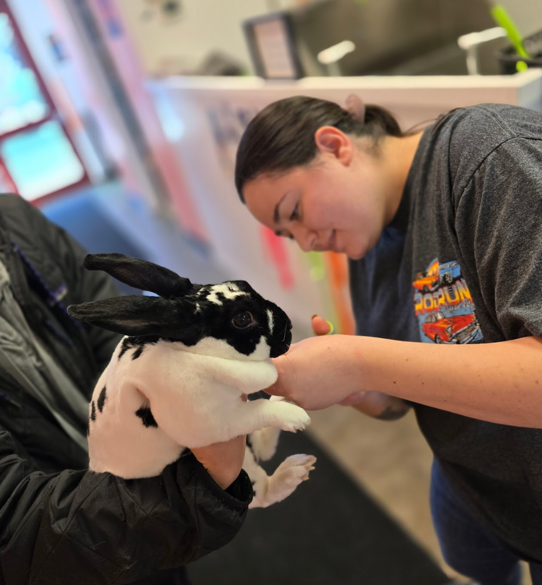 A woman holds a black and white rabbit while another woman looks on