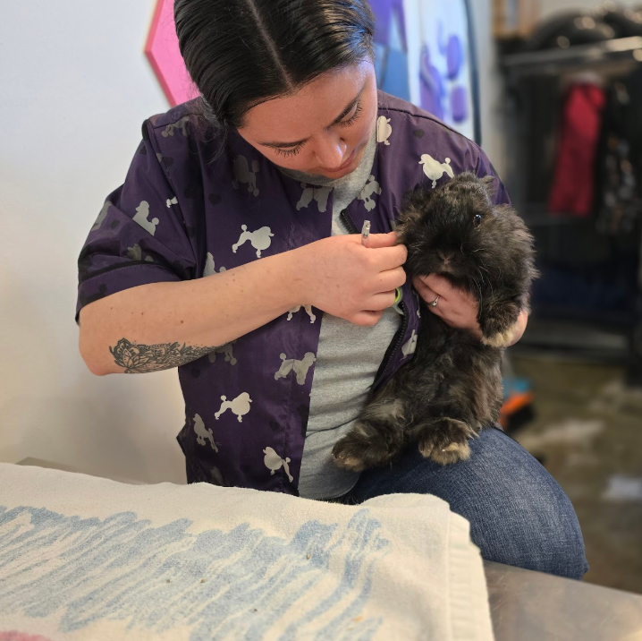 A woman in a purple shirt is holding a small dog