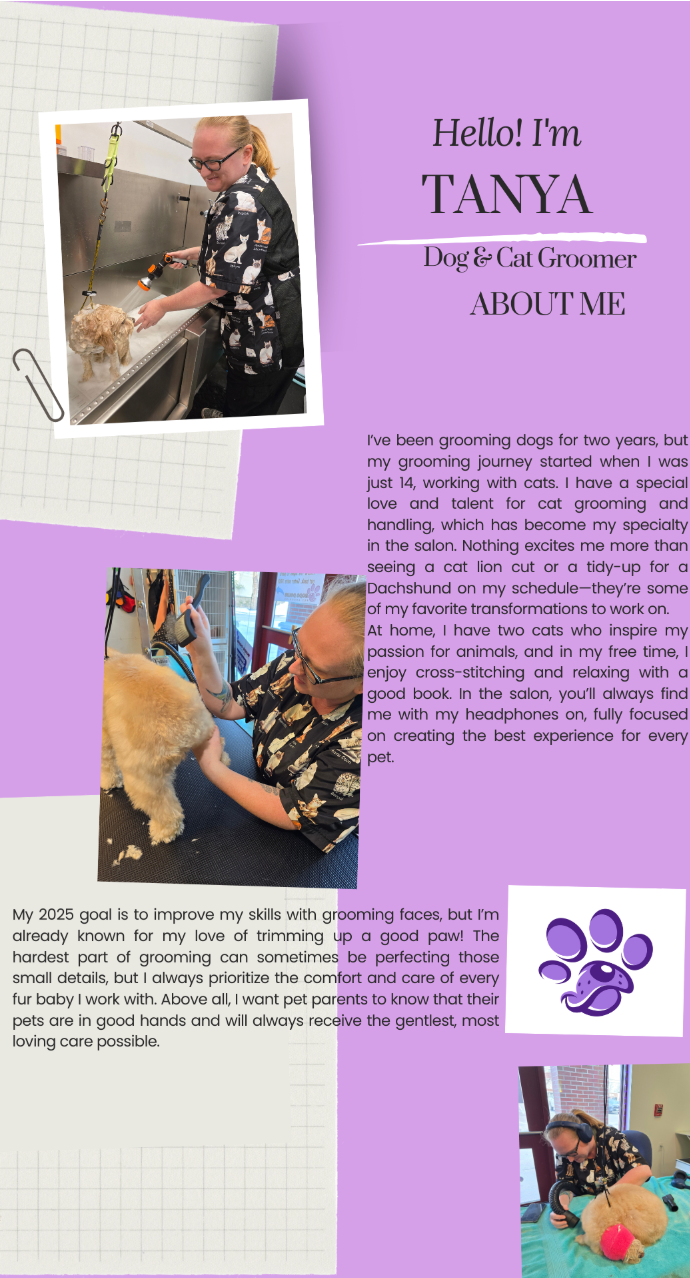 A collage of pictures of a woman grooming a dog.