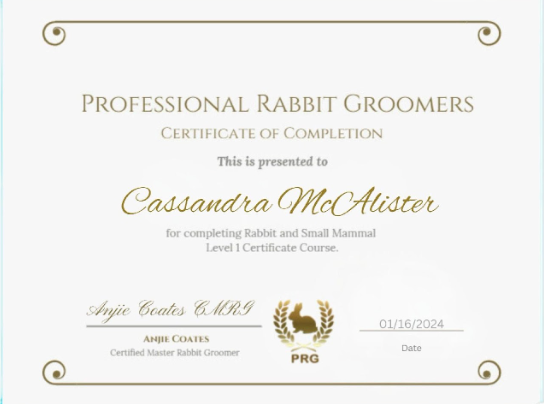 A certificate of completion for professional rabbit groomers