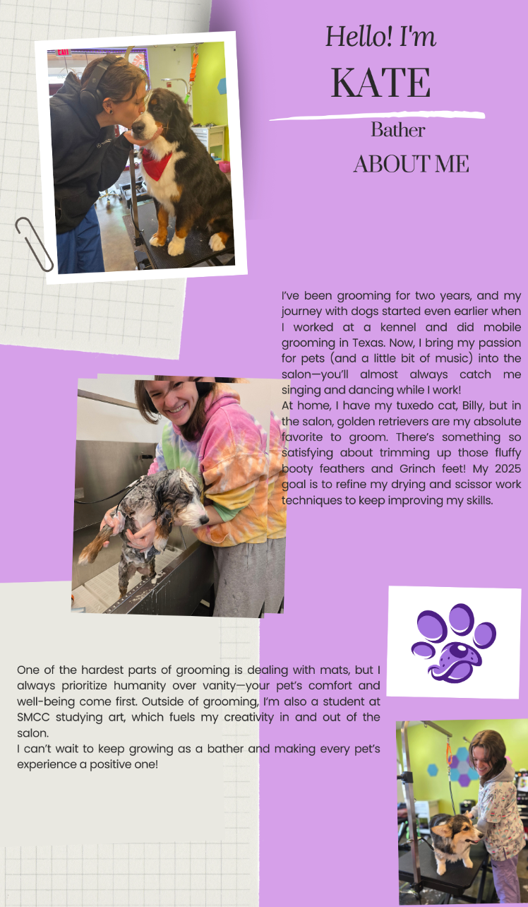 A collage of photos of a woman grooming a dog.